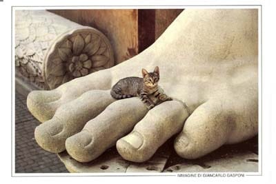 LES CHATS A ROME