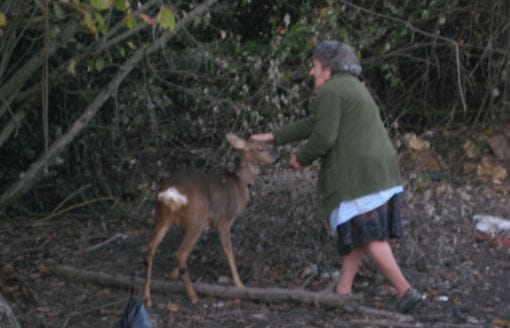 BAMBI vs en avez entendu parler