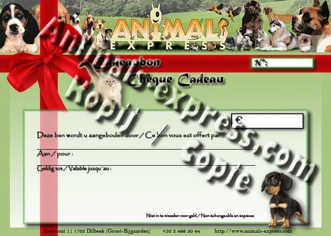 vente de chiots et livraison 