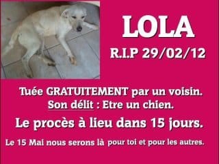 proces pour LOLA
