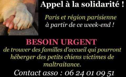 appel à la solidarite