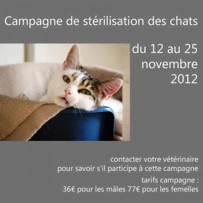 CAMPAGNE STERILISATION