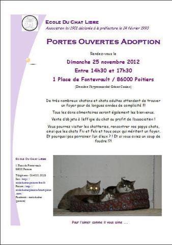 ecole du chat de POITIERS