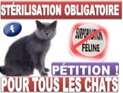 colère d'une association 