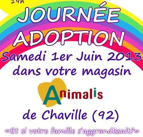 JOURNEE D'ADOPTION (association)