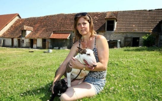 elle retrouve ses chiens voles, sur le bon coin 