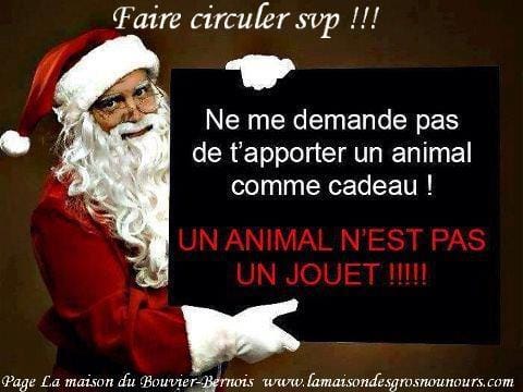 Animaux = jouets ? Noooon ....