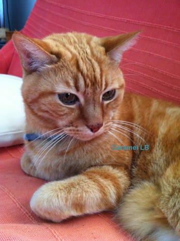 Mon Caramel de 26 ans