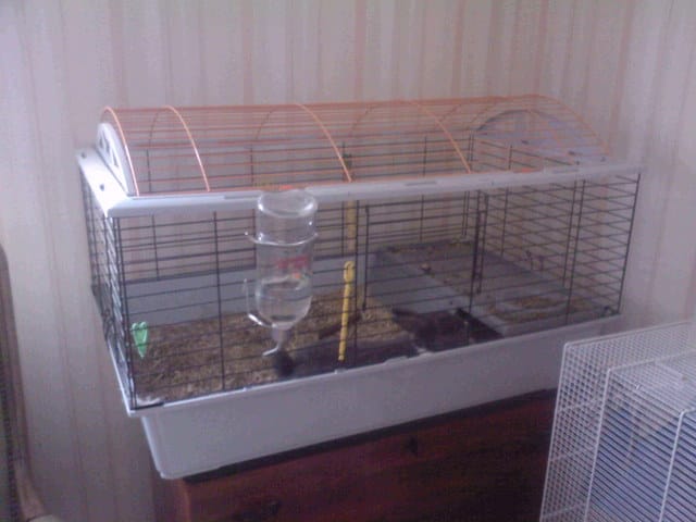 La taille de la cage ;D