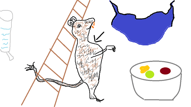 Incroyables ces petites bêtes !