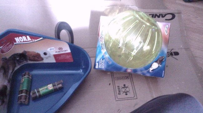Trouvé big boule pour les rats 