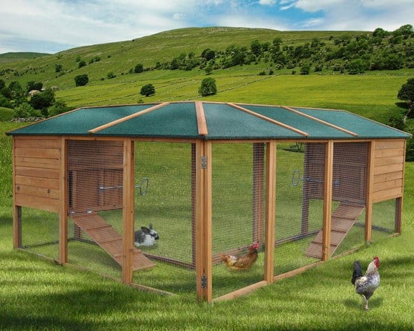 Cage géante pour lapin nain