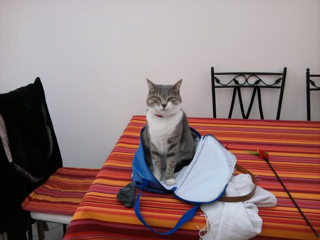 que pensez vous de mon doudou ?