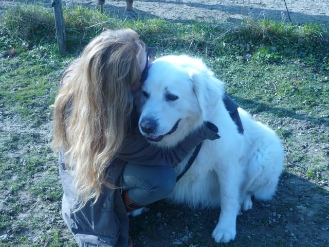 ARCO mon chien a des bourres !