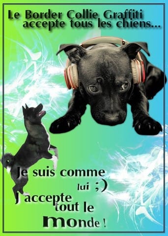 Cours d'Obéissance rythmée en Alsace