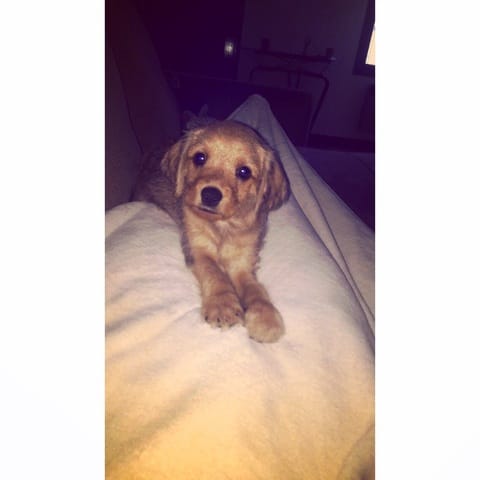 Aide pour ma petite Jazzy