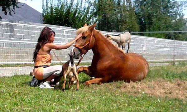 Bonjour a tous !!!