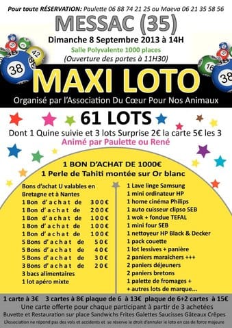 Loto de Messac (35)