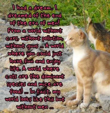 bandit luther King !