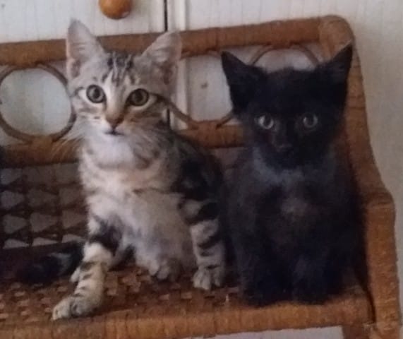 Encore un coup de goule!