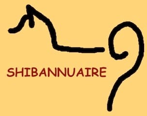 site avec des shibas - Shibannuaire