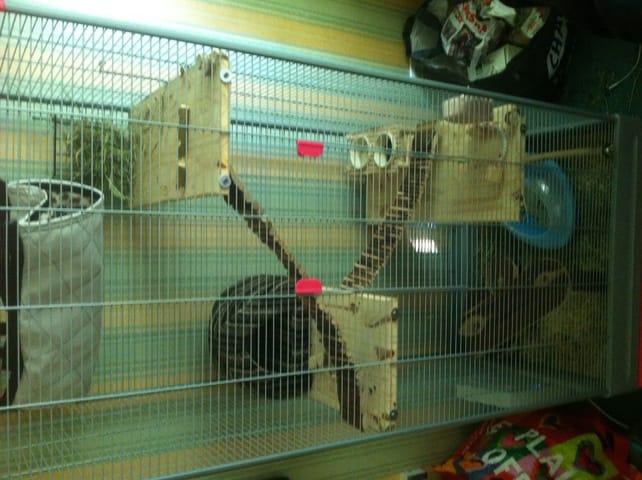 Cage suffisante pour deux ?