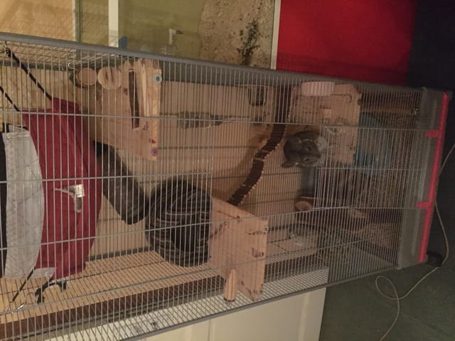 La nouvelle cage de Nesquik