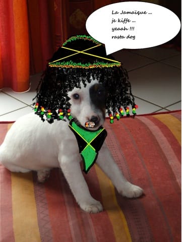 Je fais des photos montage gratuit