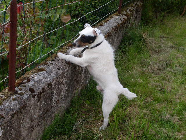 Le Week-End de Delko à la campagne