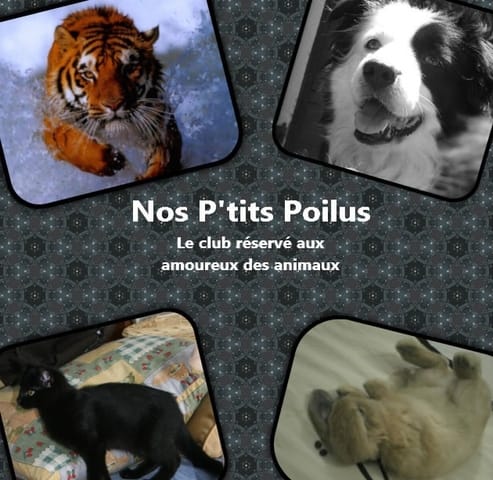 Le Club des animaux