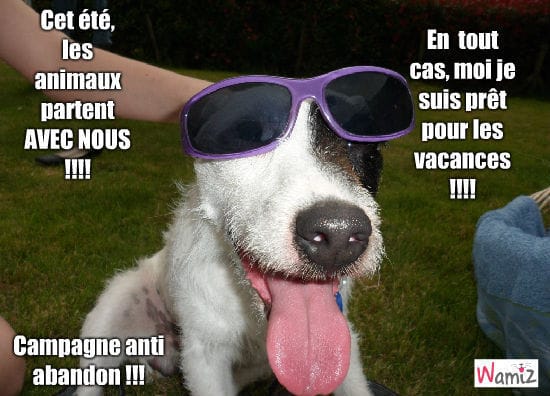 Toonizs Anti-Abandons