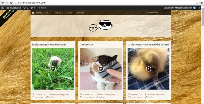 Découvrez notre communauté animale