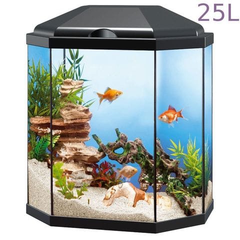 aquarium ?