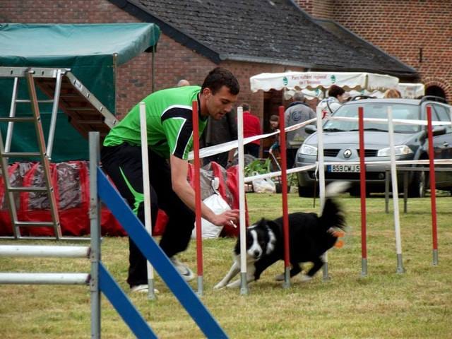 Première demo  d' agility de Ghost!!