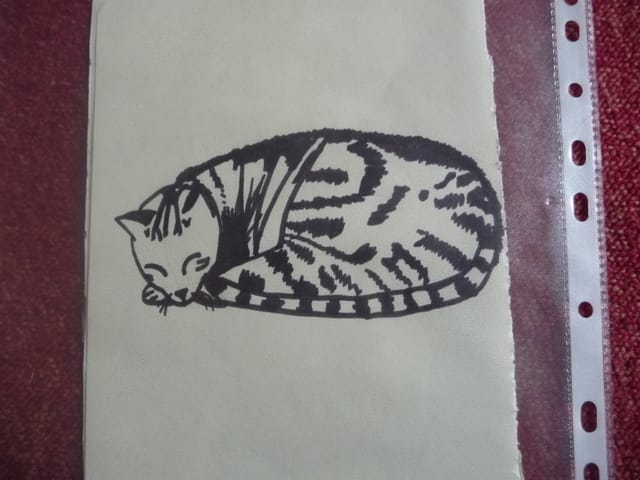 je dessine des animaux !