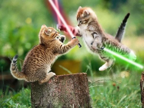 sondage !!!animaux star wars !!!!!!!