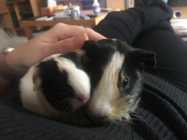 HELP!!!! Sevrage bébé