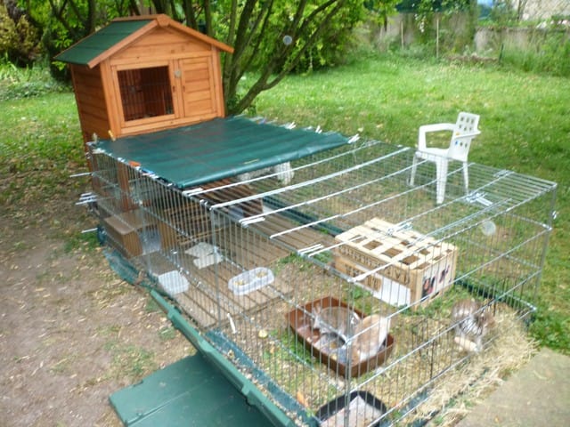 Enclos extérieur pour mes lapins nains