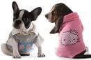 Que pensez vous des vêtements pour chien ?