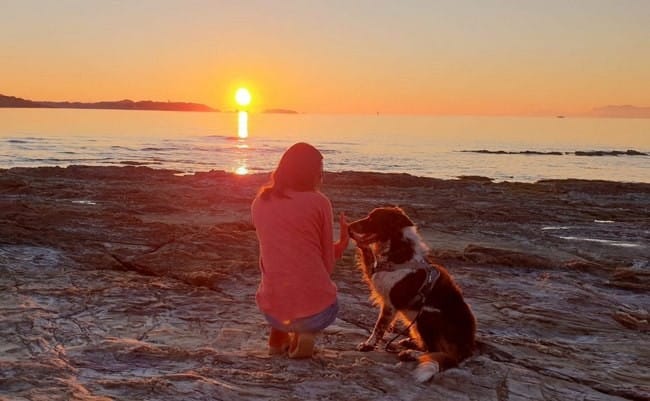 Voyager avec son chien