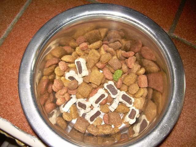 Est ce que je peux donner quelques petites friandises dans les croquettes de Lola ?