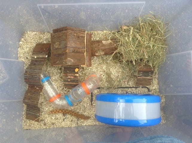 Nouvelles installations de mes hamsters :D