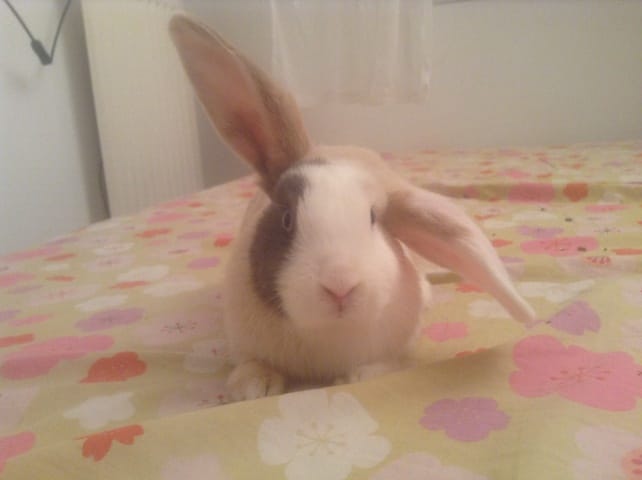 Bienvenue Mlle-Sans-Nom :)