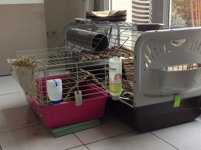 Nouvelle installation cage!