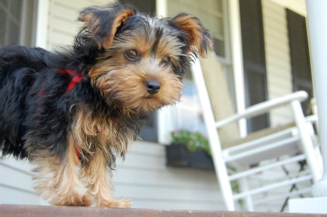 nouvelle sur le site !