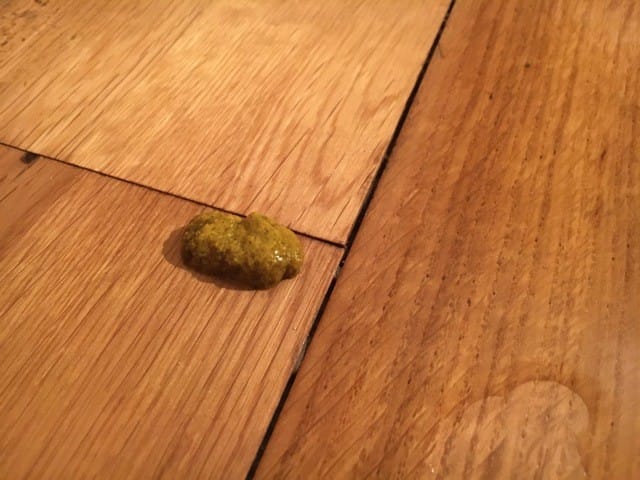 Vétérinaires en période de confinement