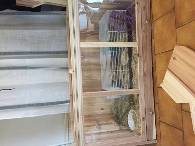cage de cohabitation