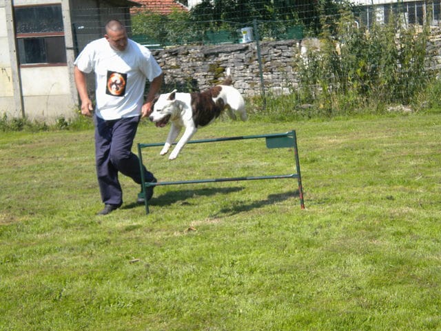 la page officielle de Gangster sur facebook