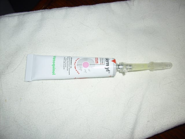 traitement gale d'oreilles