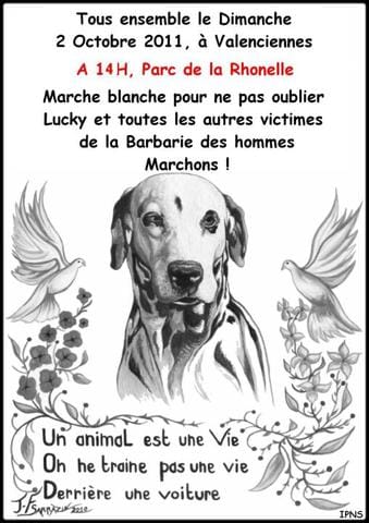 marche blanche à diffuser le plus possible